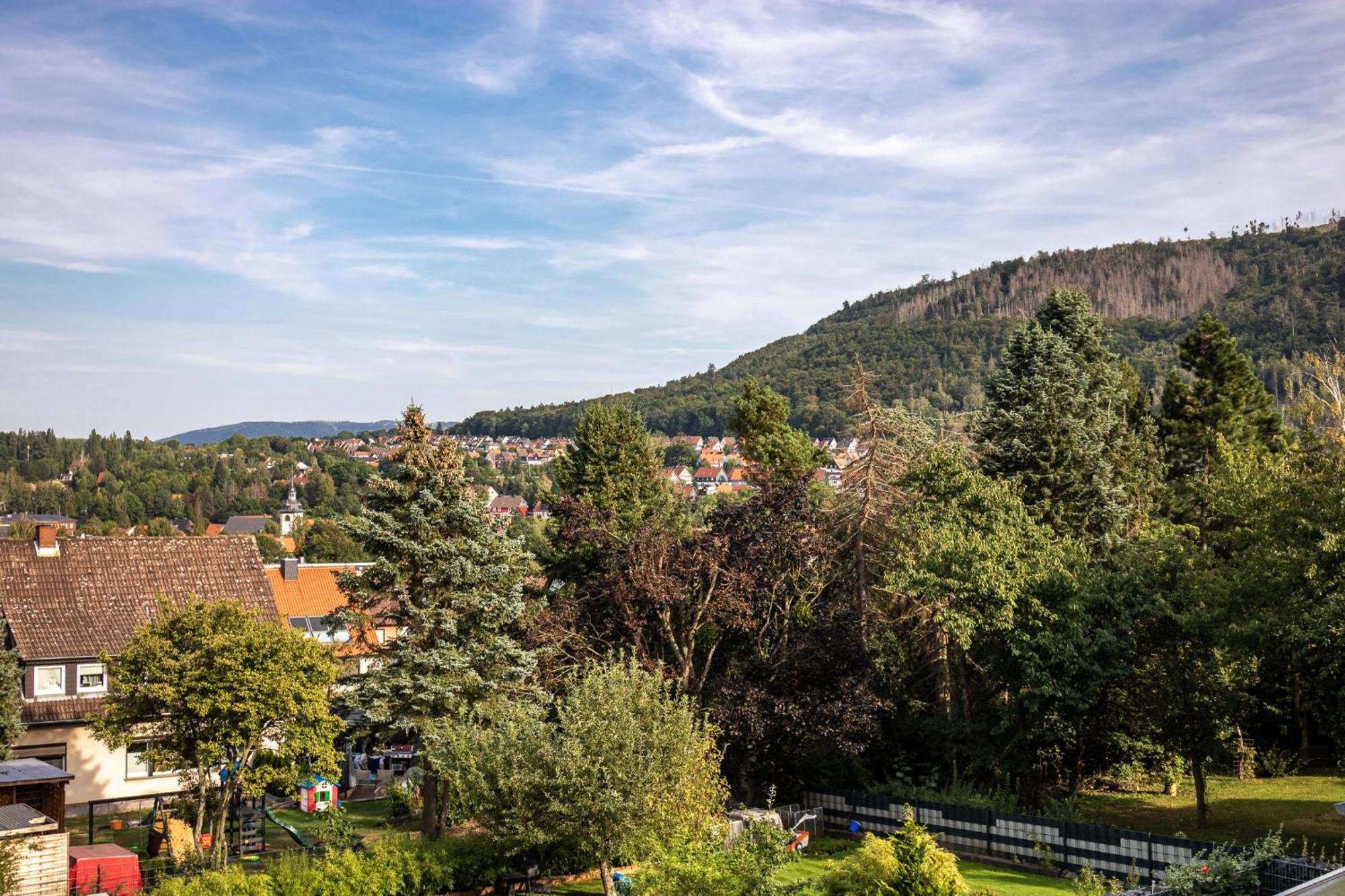 Ferienwohnung Am Bollrich Goslar Zewnętrze zdjęcie